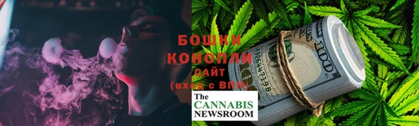 дмт Дмитров