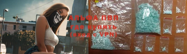 дмт Дмитров