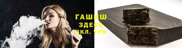 дмт Дмитров