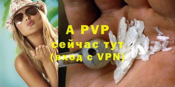молекула духа Гусев