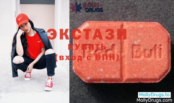 СК Строитель