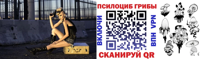 Псилоцибиновые грибы Cubensis Вольск