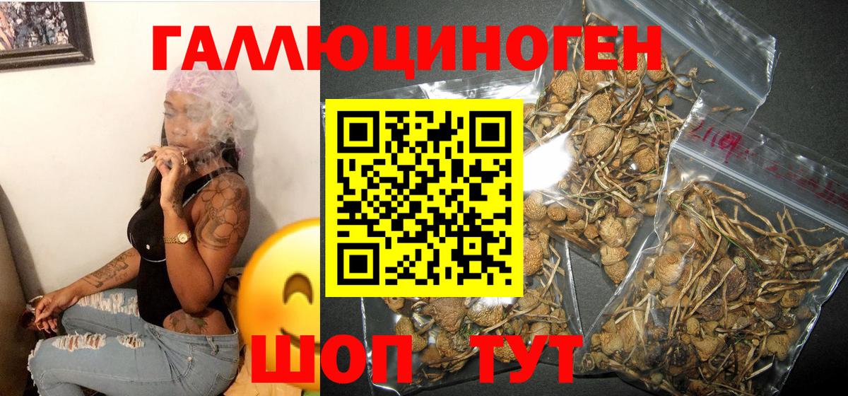 Галлюциногенные грибы ЛСД  что такое наркотик  Вольск 