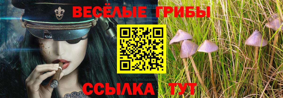 Вольск  Галлюциногенные грибы ЛСД  Вход с VPN 